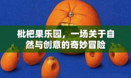 枇杷果樂園，自然與創(chuàng)意的奇妙冒險之旅