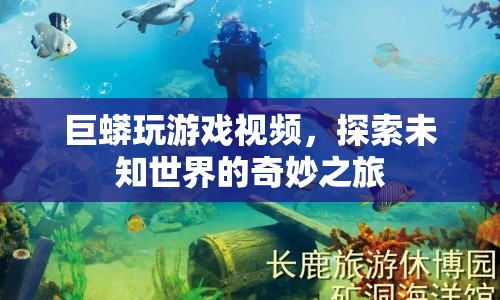 巨蟒玩游戲，探索未知世界的奇妙之旅