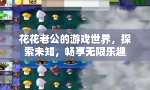 花花老公的游戲世界，探索未知，暢享無(wú)限樂(lè)趣