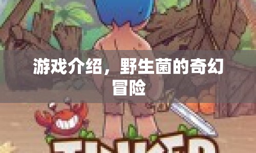 野生菌的奇幻冒險，一場冒險之旅