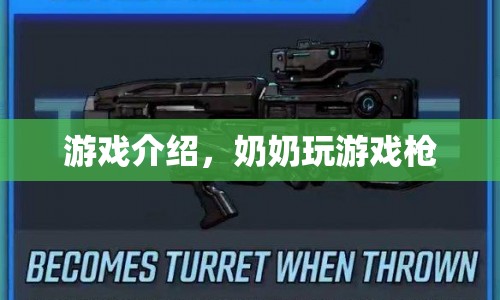 奶奶玩槍游戲，趣味射擊挑戰(zhàn)等你來體驗(yàn)