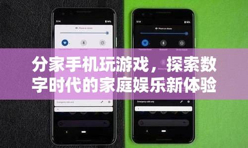 分家手機(jī)玩游戲，探索數(shù)字時(shí)代家庭娛樂(lè)新體驗(yàn)
