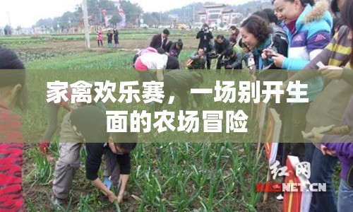 家禽歡樂賽，農(nóng)場冒險的盛宴