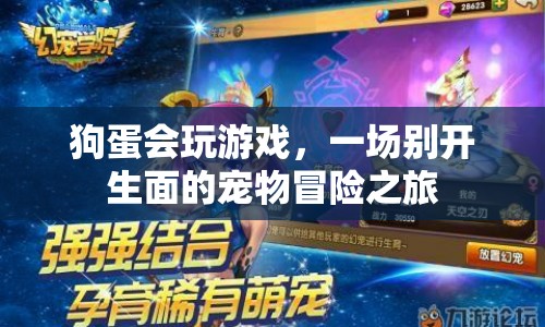 狗蛋的寵物冒險之旅，一場別開生面的游戲盛宴