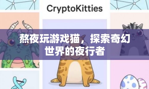 夜貓子探索奇幻世界，熬夜玩游戲的貓