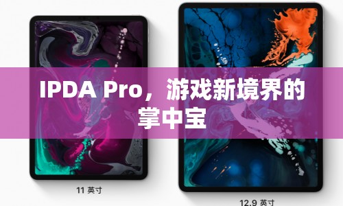 IPDA Pro，游戲新境界的掌中寶