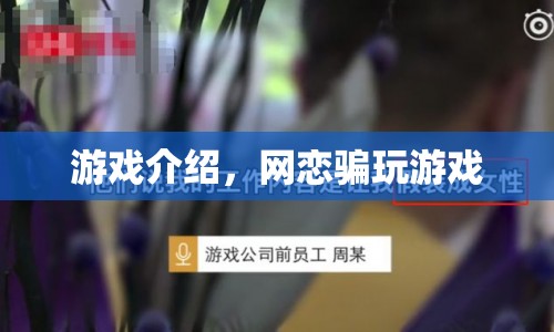 網(wǎng)戀騙局揭秘，游戲背后的陷阱與風(fēng)險(xiǎn)