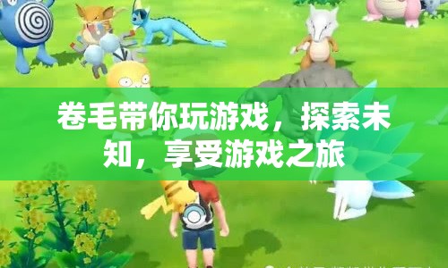 卷毛帶你探索游戲之旅，玩轉(zhuǎn)未知，暢享歡樂