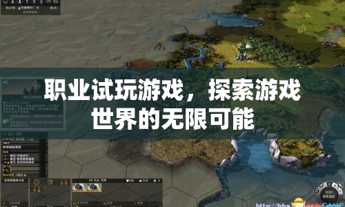 職業(yè)試玩游戲，探索游戲世界的無限可能