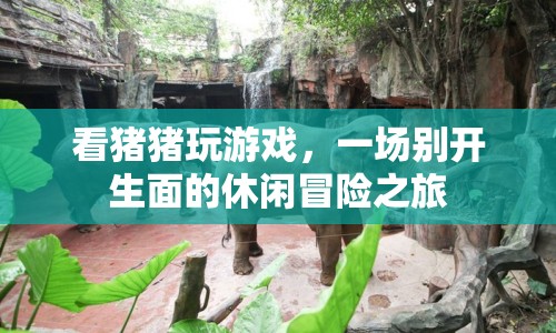 豬豬游戲，一場休閑冒險之旅