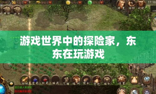 游戲世界中的探險(xiǎn)之旅，東東的冒險(xiǎn)之旅