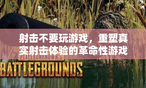 重塑真實(shí)射擊體驗(yàn)的革命性游戲，告別游戲，迎接真實(shí)射擊時(shí)代