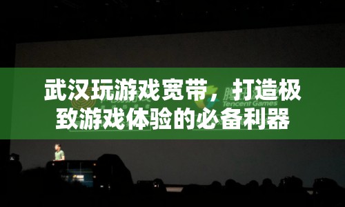 武漢玩游戲?qū)拵?，打造極致游戲體驗(yàn)的必備利器