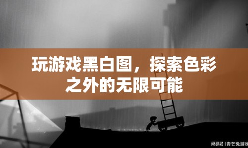 黑白游戲中的無限創(chuàng)意探索