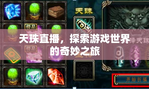 天珠直播，探索游戲世界的奇妙之旅