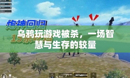 烏鴉因玩游戲被獵殺，智慧與生存的較量