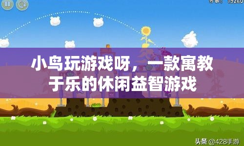 寓教于樂(lè)！小鳥玩游戲帶你開啟休閑益智新體驗(yàn)