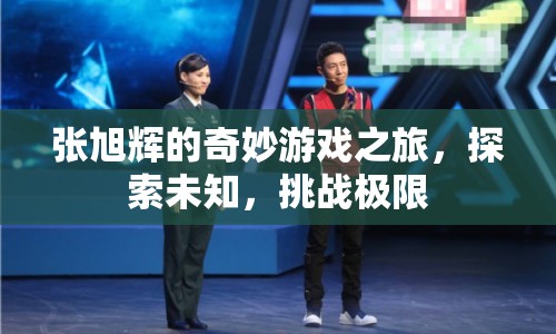 張旭輝的奇妙游戲之旅，探索未知，挑戰(zhàn)極限