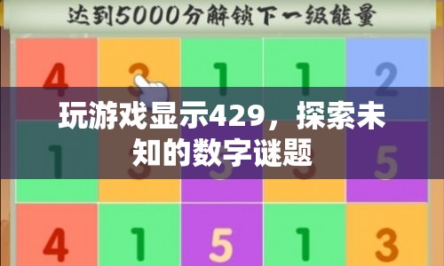 探索數(shù)字謎題，揭秘429背后的游戲奧秘