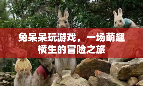兔呆呆的萌趣冒險(xiǎn)之旅