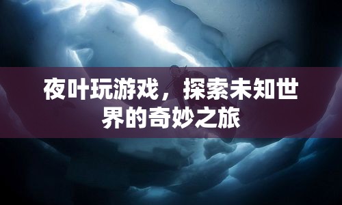 夜葉探索未知世界的奇妙游戲之旅