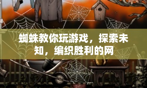 蜘蛛，編織勝利之網(wǎng)，探索游戲未知領(lǐng)域