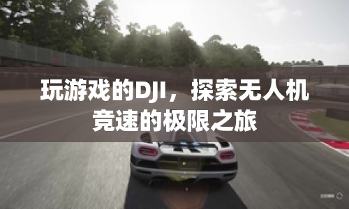 DJI無人機(jī)競(jìng)速，探索極限之旅