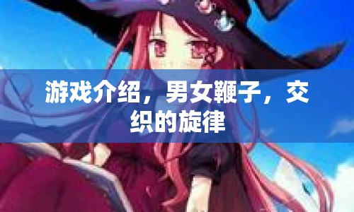 男女鞭子交織的旋律，游戲介紹