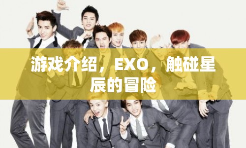 EXO，觸碰星辰的冒險之旅