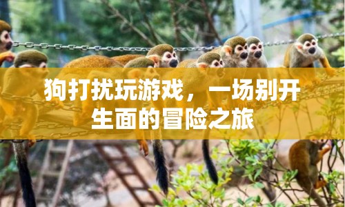 狗打擾玩游戲，開啟一場別開生面的冒險之旅