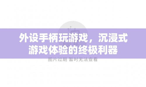 沉浸式游戲體驗的終極利器，外設手柄