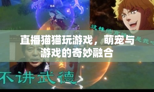 萌寵游戲直播，貓貓玩轉(zhuǎn)游戲，萌寵與游戲的奇妙融合
