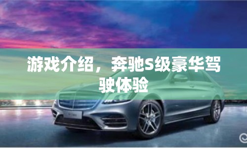 奔馳S級(jí)豪華駕駛體驗(yàn)，游戲介紹
