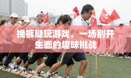 挽褲腿玩游戲，趣味挑戰(zhàn)新體驗(yàn)