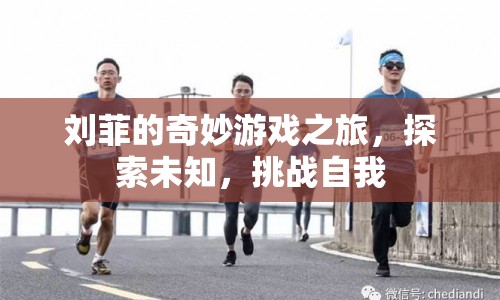 劉菲的奇妙冒險(xiǎn)，探索未知，挑戰(zhàn)自我