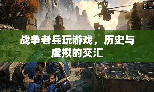 戰(zhàn)爭(zhēng)老兵與虛擬游戲，歷史與虛擬的交匯點(diǎn)