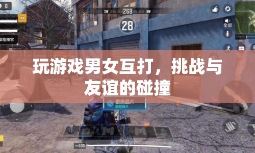 男女互打游戲，挑戰(zhàn)與友誼的碰撞