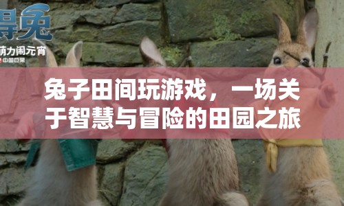 兔子田間冒險記，智慧與冒險的田園之旅