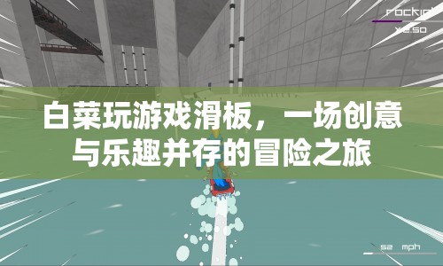 白菜滑板冒險，創(chuàng)意與樂趣的奇妙之旅