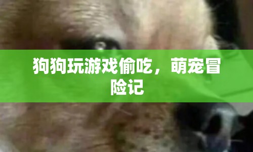 萌寵冒險記，狗狗玩游戲偷吃