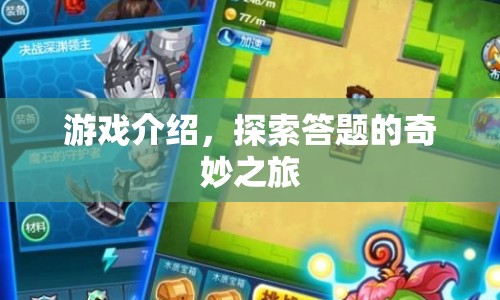 探索答題的奇妙之旅，一場智慧與樂趣的冒險(xiǎn)