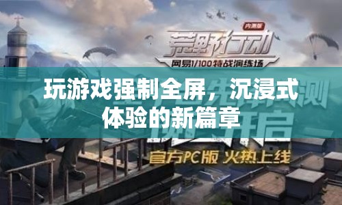 玩游戲強制全屏，開啟沉浸式體驗新篇章