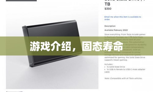 探索無(wú)限可能，固態(tài)壽命游戲介紹