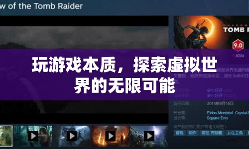 探索虛擬世界的無限可能，游戲本質(zhì)的深度剖析