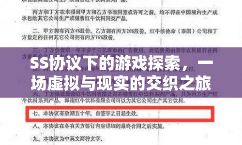 SS協(xié)議下的虛擬與現(xiàn)實交織之旅
