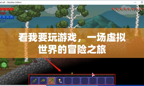 一場虛擬世界的冒險之旅，探索游戲世界的奧秘