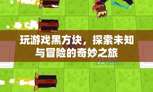 探索未知與冒險的奇妙之旅，黑方塊游戲