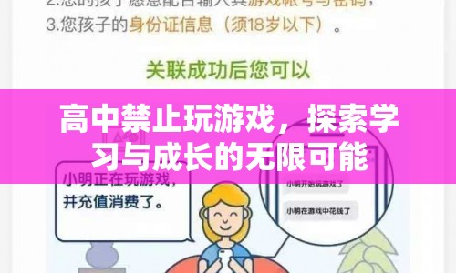 高中禁止玩游戲，探索學(xué)習(xí)與成長的無限可能