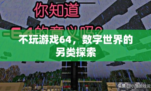 數(shù)字世界的另類探索，不玩游戲64