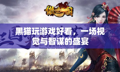 黑貓玩游戲，視覺(jué)與智謀的盛宴
